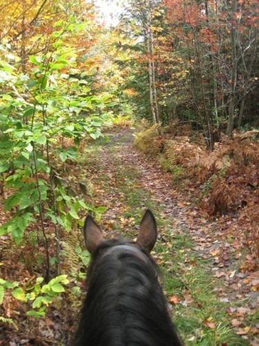 En randonnée aujourd'hui dans un décor d'automne magnifique...