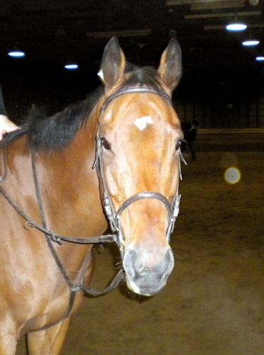 photo par Dreeeyy Quidam :)