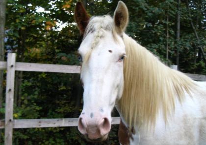 Ma belle Ivory...