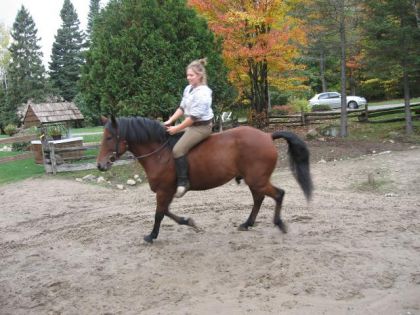 photo par Cora-Lee Trot assis bare back, mes genoux monte all the time trop haut...