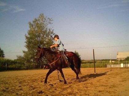 Mikey au slalom avec Jessy