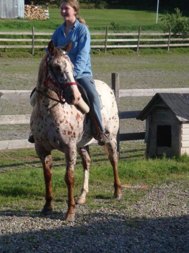moi a cheval sur crystal