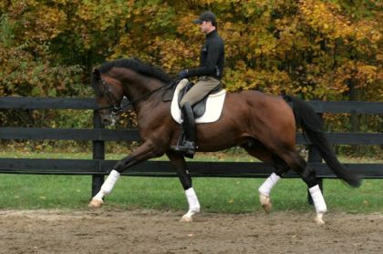 photo par FMB_farm