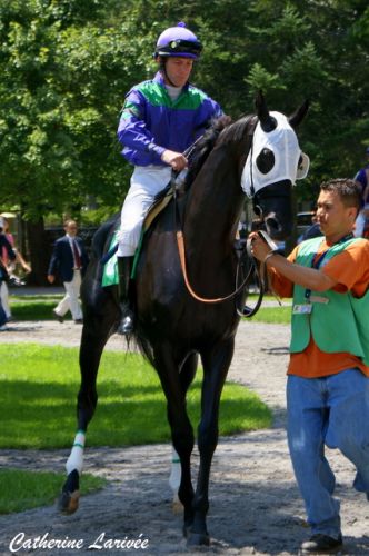 Un cheval que j'ai surnommé démon noir à Saratoga, tout une...