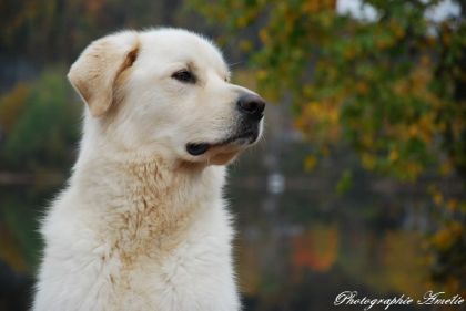 T'es beauuuu 