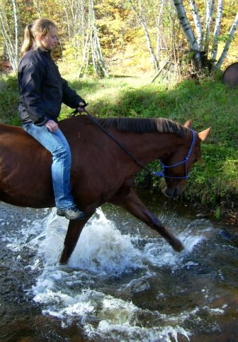 Sur ma jument en rando bareback hier à la rivière! 