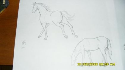 Voici mes derniers dessins a partir d'une image