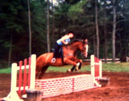 Sur ma jument à l'obstacle en 2003! Un de ses premier petit mur!
