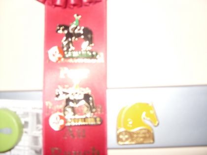 Mes 3 cavalier