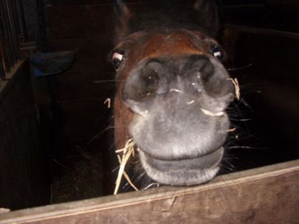 Canelle qui fait une face bizarre..