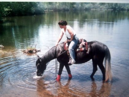 Mon ancienne pouliche de 3 ans Galilée. :)