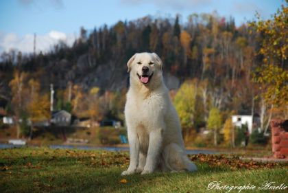 photo par SnowBall
