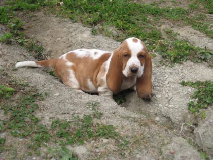 la petite nouvelle de la famille!