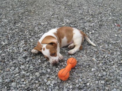elle est tellement adorable! ma petite Léa!