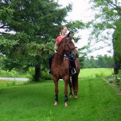 Il y a quelque chose qui bouge dans l'herbe! ma jument check au...