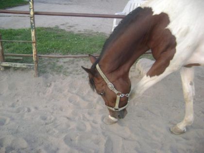 Uun GROS salutt 