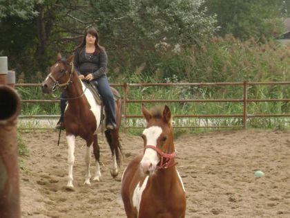 onn voiie full la gros tete a dako :)