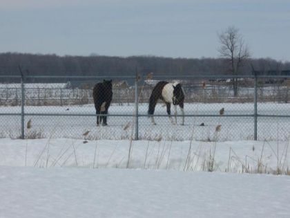 ma doudounee d,Hiver !