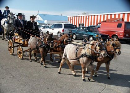 La parade de Louiseville...