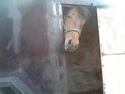 Fire fait un p'tit coucou dans la porte du trailer. Il a l'air...