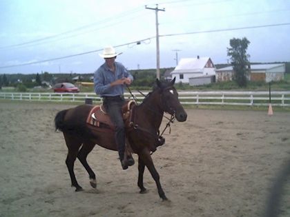 Ti-Ouis dans le ring