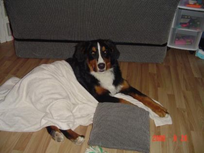 tobb le relaxe 