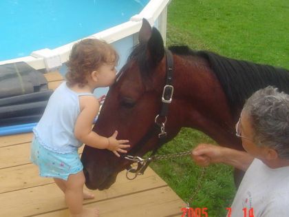 Un bébé embrasse un cheval