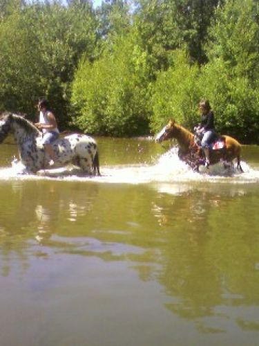 patchy et jaya dans leau!!!