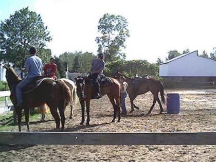 La gang de cowboy et cowgirl à l'entraînement