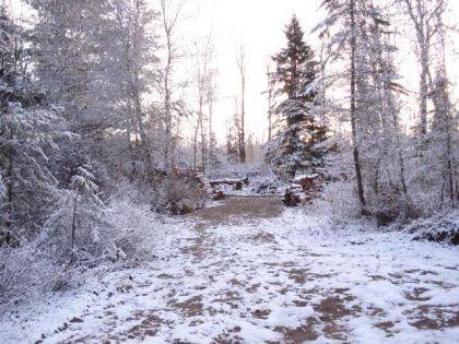la belle neige en ce 23 octobre au matin:)