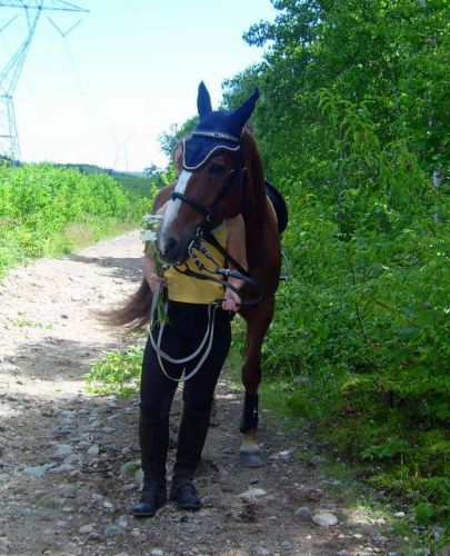 Devinez à qui appartien ce cheval?  ;)