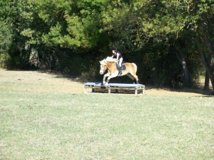 Moi & Oumiak sur le cross...