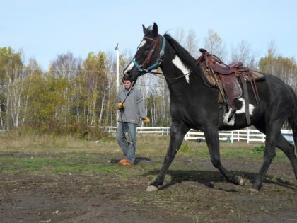 Nikita 4 ans a l'entrairement depuis 2 semaines