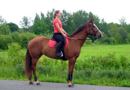 Sur la route devant chez moi avec Jolly avant de partir en rando!