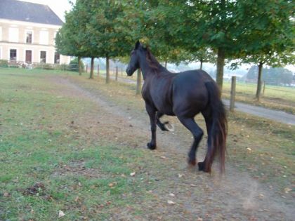 Ma cherie au p'tit trop dans la prairie au couleur d'automne ......