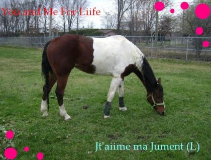 I Lovee U ! tes a moii Pour la viie ma belle :)!