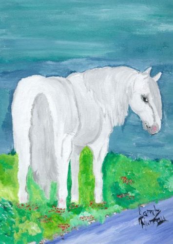Peinture Que J'ai Fait Cheval Blanc !!!