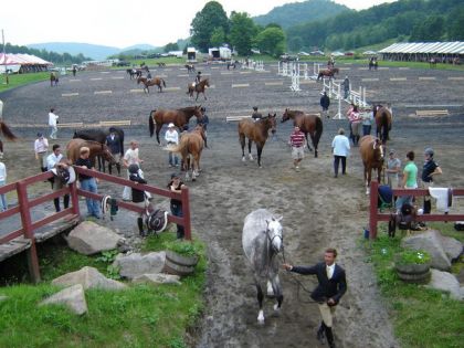 international bromont