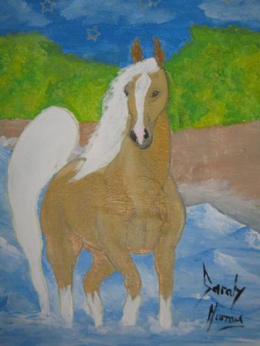 Peinture Que J'ai Fait Palomino !!!