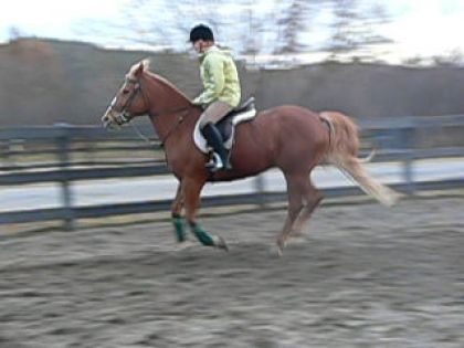 Encore moi et Lily au galop