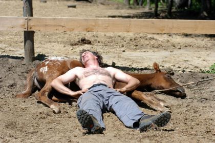 Un homme couché sur un poulain