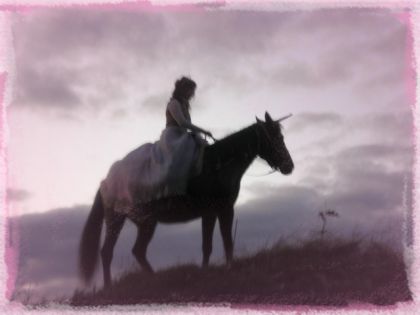 ma licorne et moi nov.2009