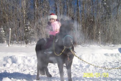 Petite fille sur un poney en hiver