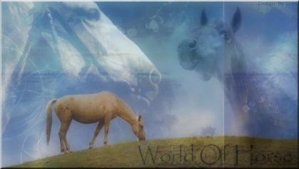 photo par madi&Cajun mon header de mon forum !