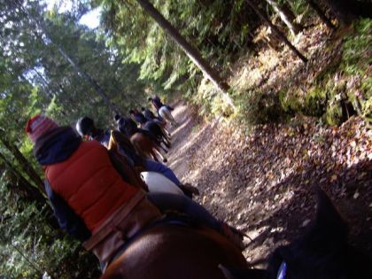 Exploration !!