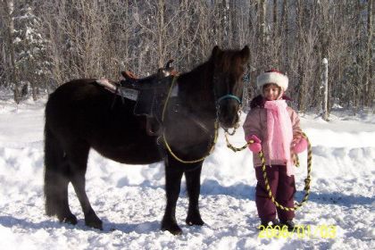Jeune fille et poney