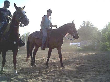 Luc et Roger au réchauffement