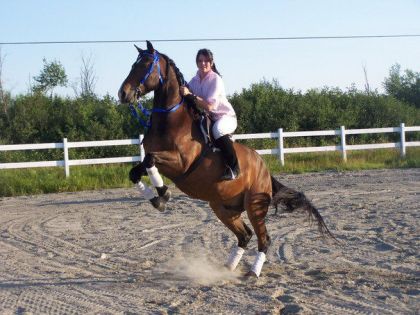 lol moi et T-ee-jee au cabrage :) il el fait super bien .. meme...