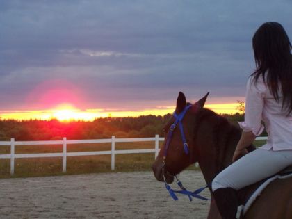 Cavalière à cheval observant un couché de soleil
