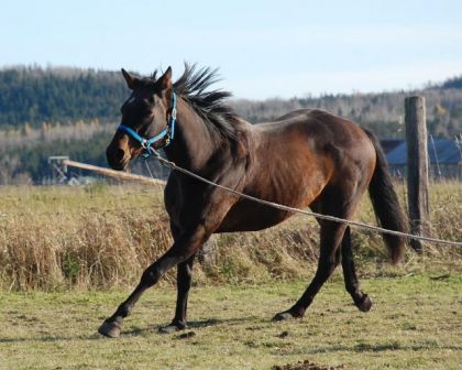 Voici...Magic Lulu..... !!! Tout simplement Magnifique !!!
